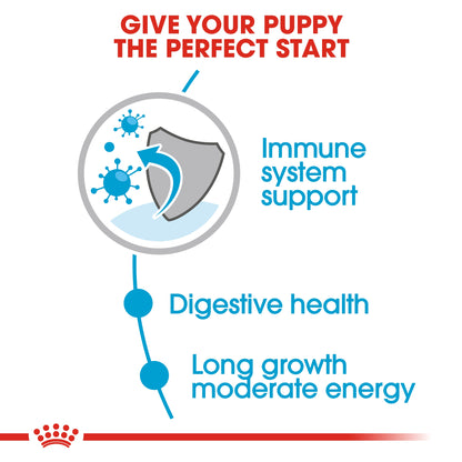 Royal Canin Size Health Nutrition Maxi Puppy (Wet Food   Pouches) 10 x 140 g
