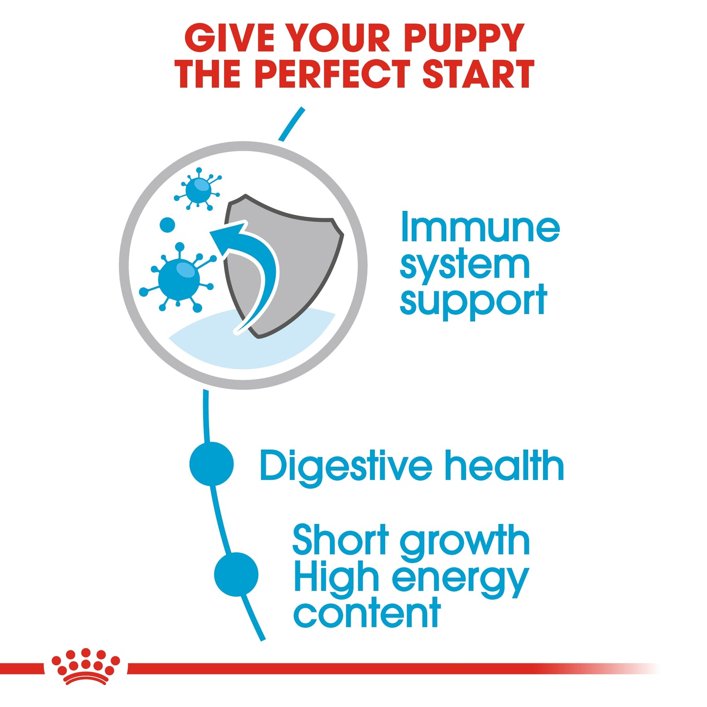 Royal Canin Size Health Nutrition Medium Puppy (Wet Food   Pouches) 10 x 140 g