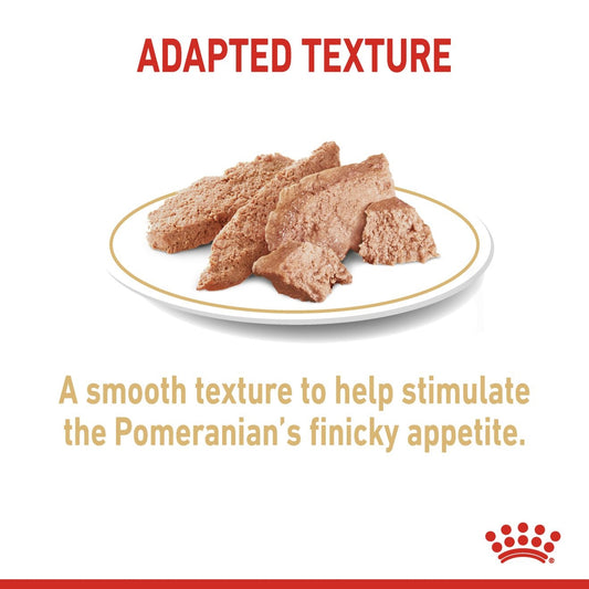 Royal Canin Breed Health Nutrition Pomeranian (Wet Food   Pouches) 12 x 85 g