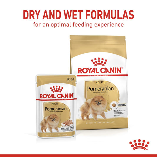 Royal Canin Breed Health Nutrition Pomeranian (Wet Food   Pouches) 12 x 85 g