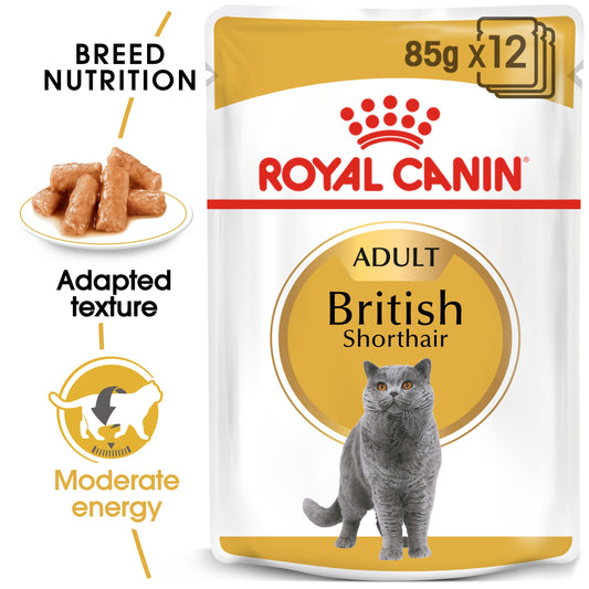 Royal Canin Feline Breed Nutrition British Shorthair (Wet Food   Pouches) 12 x 85 g