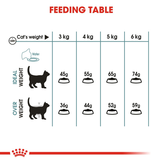 Royal Canin 400 gm Feline Care Nutrition Hairball Care