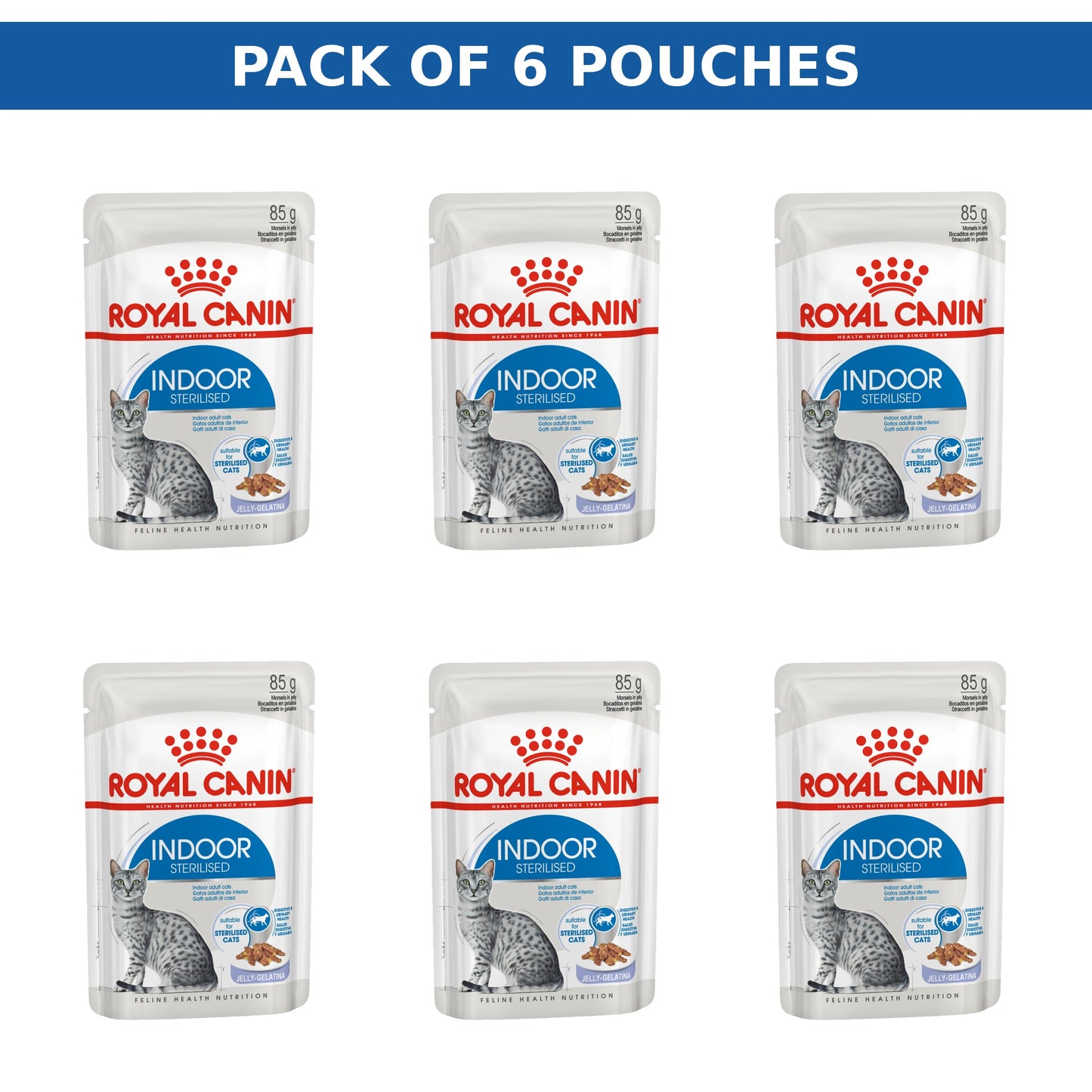 (Pack of 6 Pouches Only) x 85gm Royal Canin Feline Health Nutrition Indoor Jelly