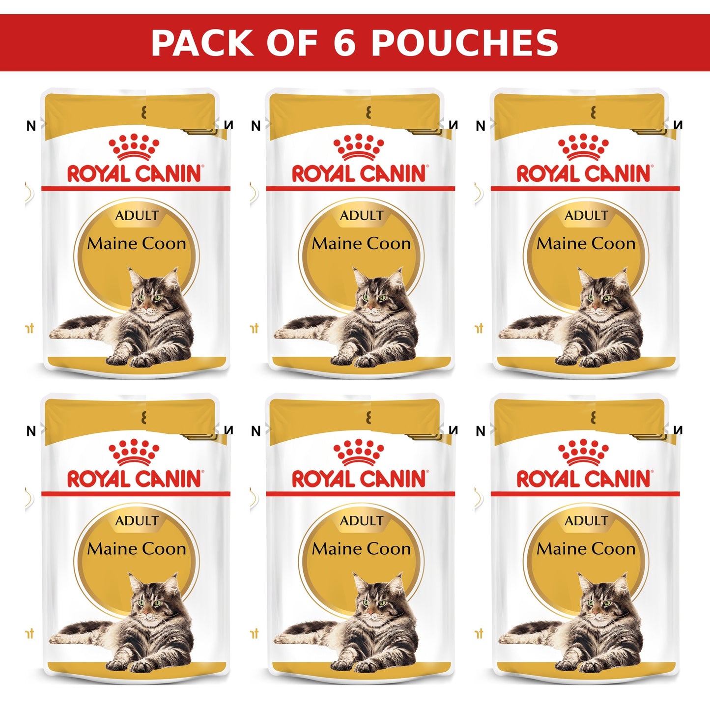 (Pack of 6 Pouches Only) x 85 gm Royal Canin Feline Breed Nutrition Maine Coon