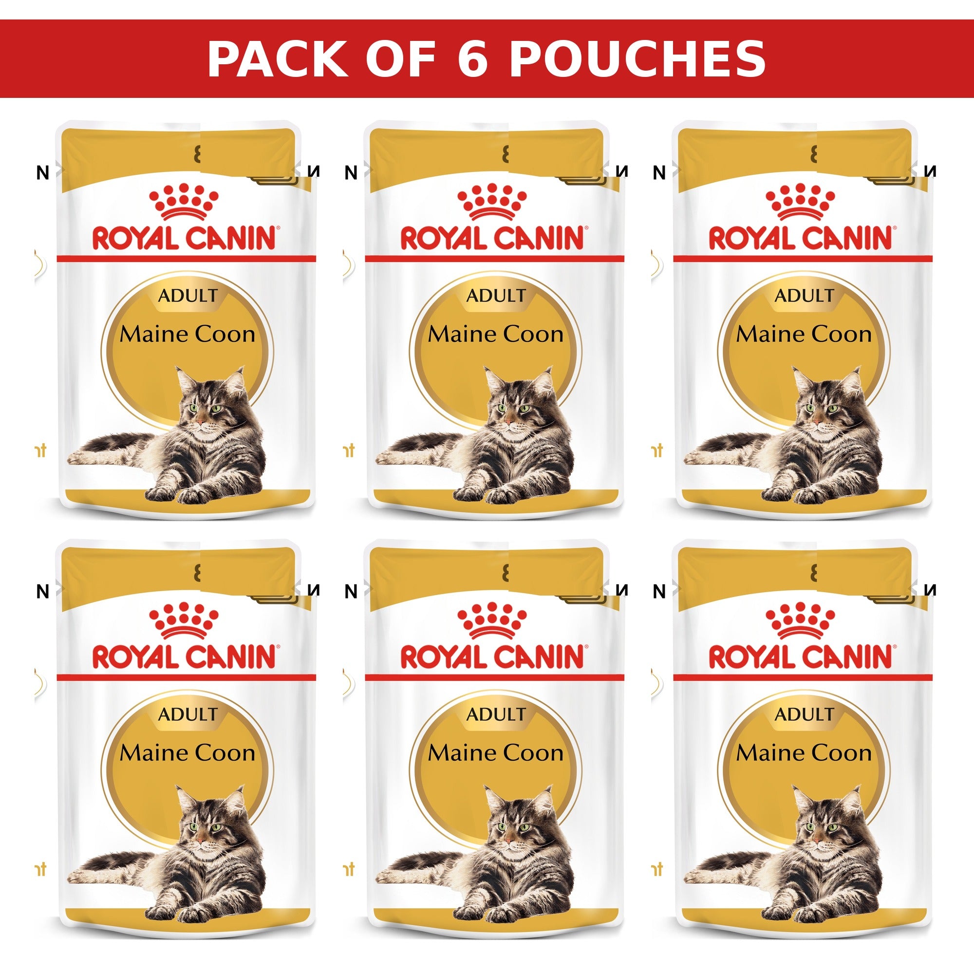 (Pack of 6 Pouches Only) x 85 gm Royal Canin Feline Breed Nutrition Maine Coon