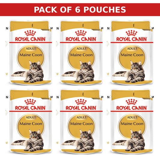 (Pack of 6 Pouches Only) x 85 gm Royal Canin Feline Breed Nutrition Maine Coon