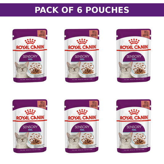 (Pack of 6 Pouches Only) x 85gm Royal Canin Feline Health Nutrition Sensory Feel Gravy