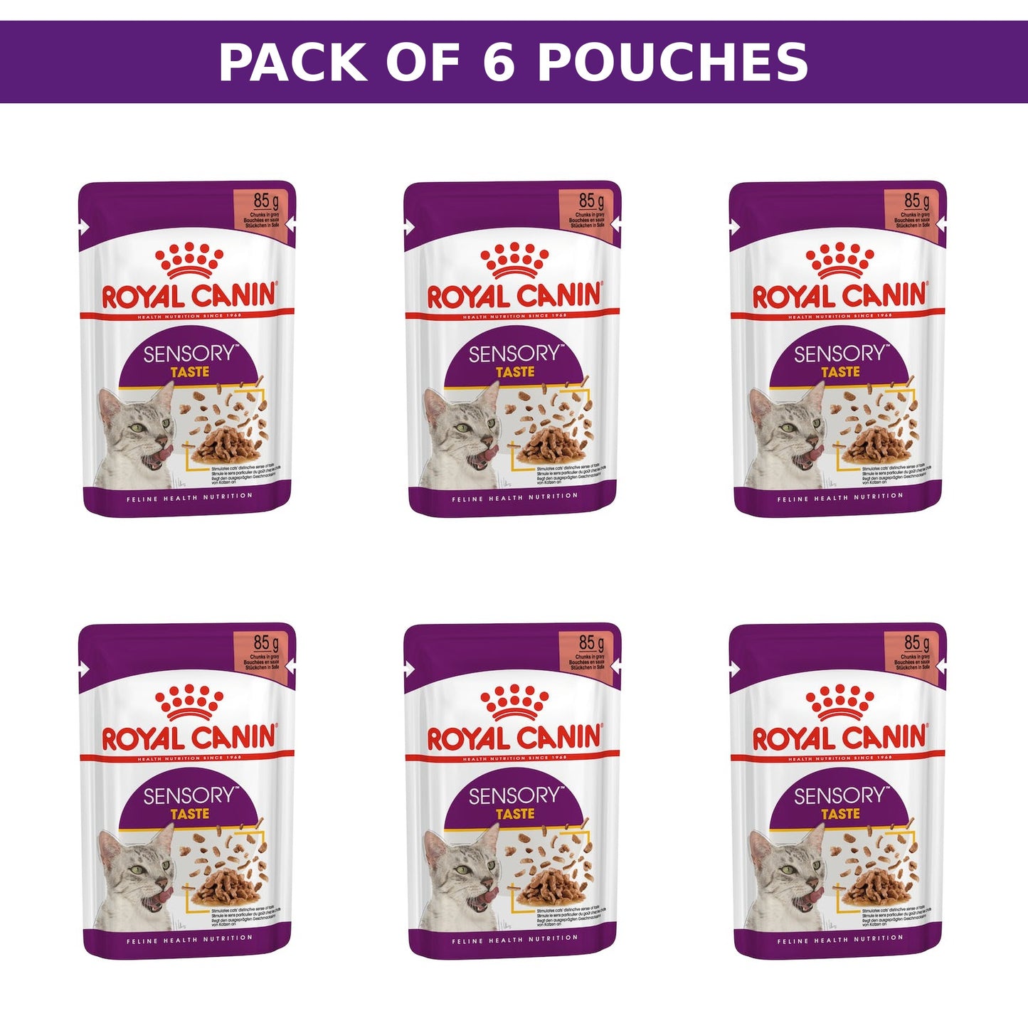 (Pack of 6 Pouches Only) x 85gm Royal Canin Feline Health Nutrition Sensory Taste Gravy