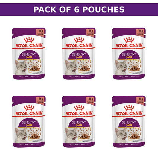 (Pack of 6 Pouches Only) x 85gm Royal Canin Feline Health Nutrition Sensory Taste Gravy
