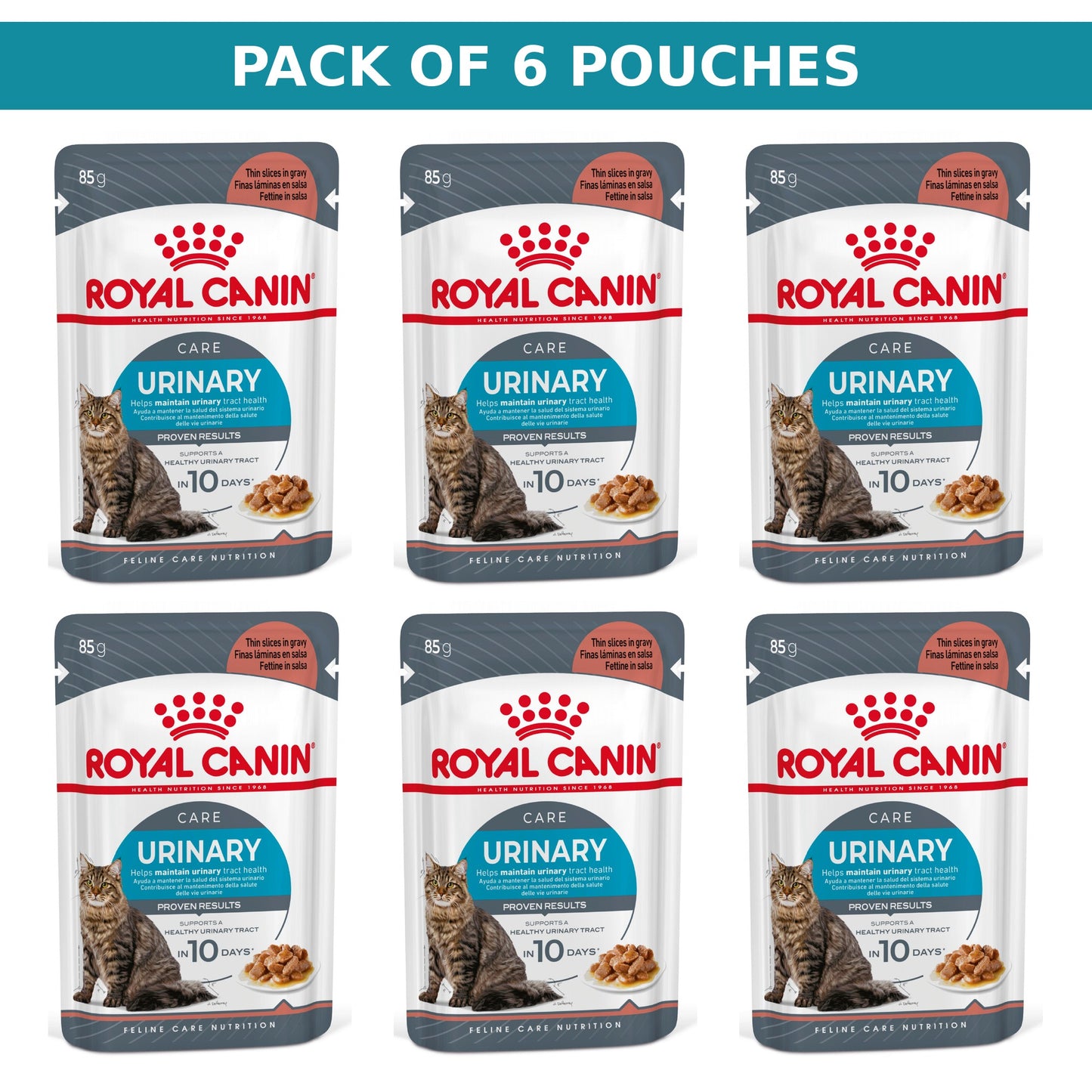 (Pack of 6 Pouches Only) x 85 gm Royal Canin Feline Care Nutrition Urinary Care