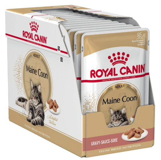 Royal Canin Feline Breed Nutrition Maine Coon (Wet Food   Pouches) 12 x 85 g