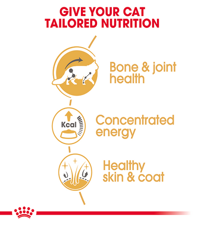Royal Canin Feline Breed Nutrition Maine Coon (Wet Food   Pouches) 12 x 85 g