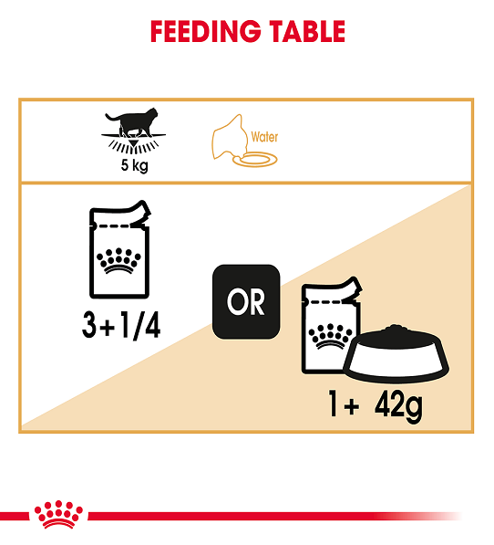 Royal Canin Feline Breed Nutrition British Shorthair (Wet Food   Pouches) 12 x 85 g