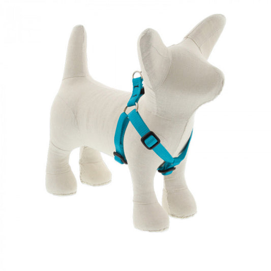 Small Dog Basics Step In Harness 1/2" - 12?-18?, Aqua