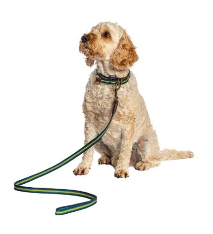 Danish Design FatFace Bold Stripe Woven Dog Lead