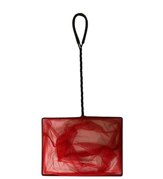 Hugo Kamishi Aquarium Net