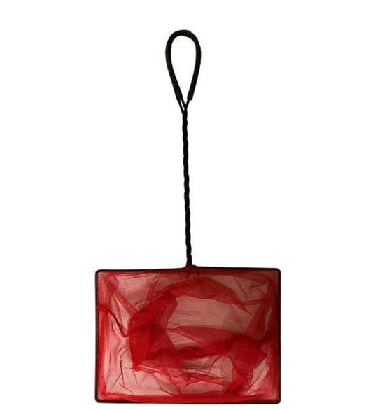 Hugo Kamishi Aquarium Net