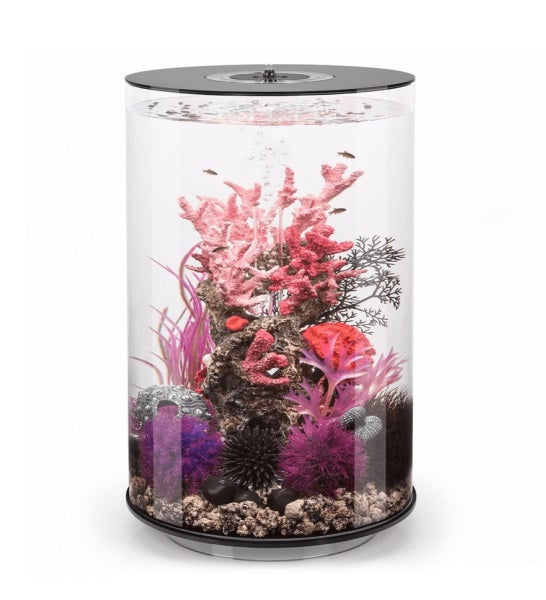 Katachi Lifestyle Takia Acrylic Home Tube Aquarium