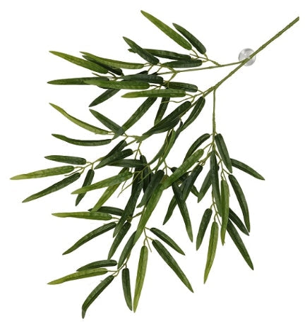 Terra D'Ella Hanging Plant Bamboo