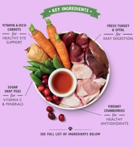 Lily's Kitchen Senior Recipe Dog Wet Food 150G
