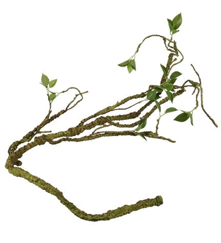 Terra D'Ella Plant Branch Thick