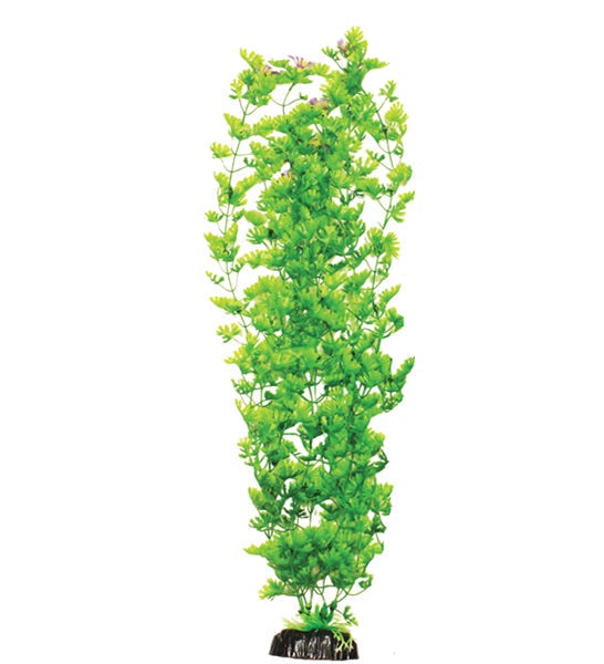Hugo Kamishi Ranunculus Tall Aquarium Plant Decor