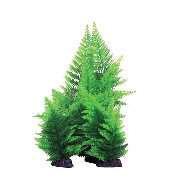 Hugo Kamishi Broad Leaf Fern Aquarium Plant Decor