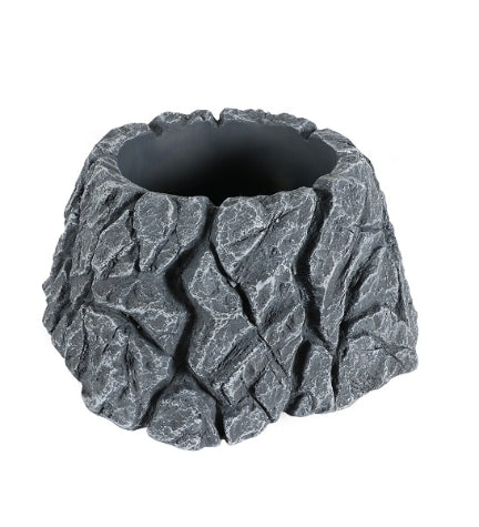 Terra D'Ella Golliwoog Rock