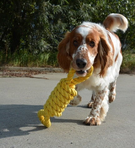 ebi Bite Me 'Tug Life' 2 Loops Playing Rope