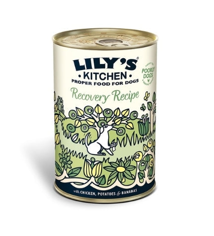 Lily's Kitchen Recovery Recipe Wet Dog Food 400G