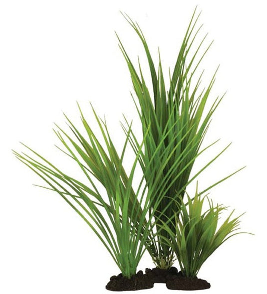 Hugo Kamishi Variegated Rush Aquarium Plant Decor