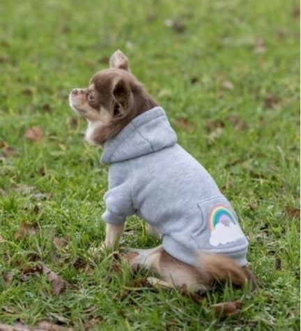 Trixie Rainbow Falls Hoodie for Dogs