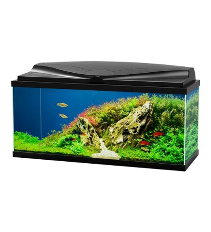 Ciano Aqua 80 Aquarium with LED Light