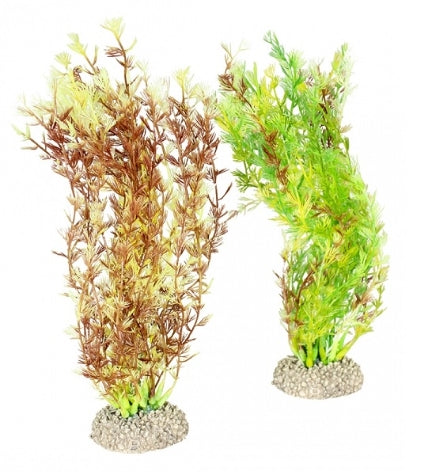 Aqua D'Ella Plant Egeria Densa for Aquraiums