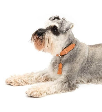Mutts & Hounds Camello Leather & Grey Tweed Dog Collar