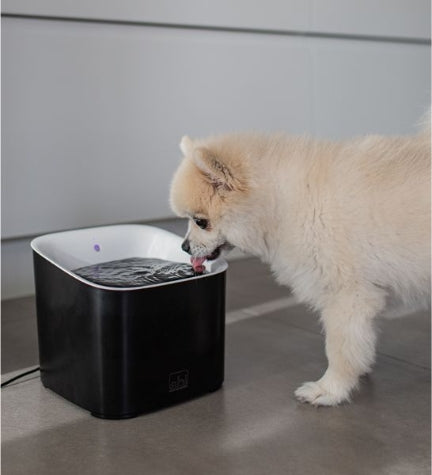 ebi Manoa Drinking Fountain for Dogs
