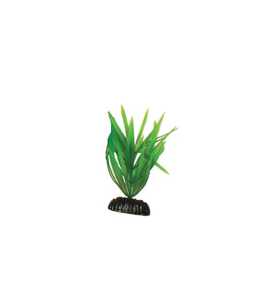 Hugo Kamishi Pogestemon Aquarium Plant Decor
