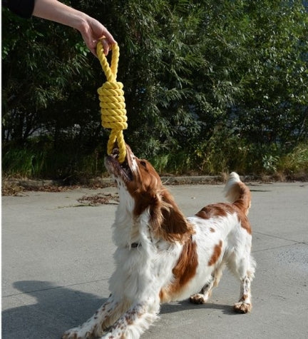ebi Bite Me 'Tug Life' 2 Loops Playing Rope