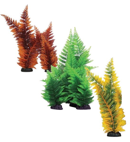 Hugo Kamishi Broad Leaf Fern Aquarium Plant Decor