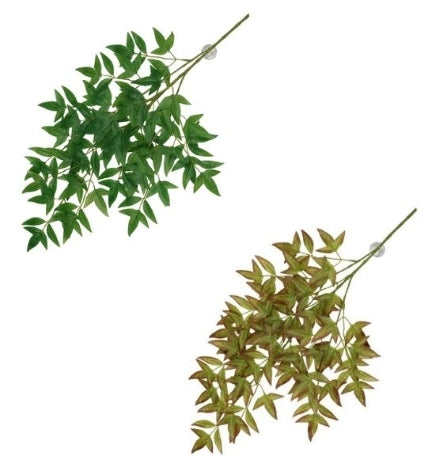 Terra D'Ella Hanging Plant Nandina