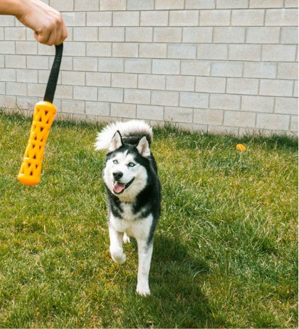 ebi Bite Me 'Crack Me Up' Stick Sensory Dog Toy