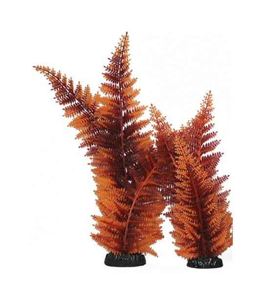 Hugo Kamishi Broad Leaf Fern Aquarium Plant Decor