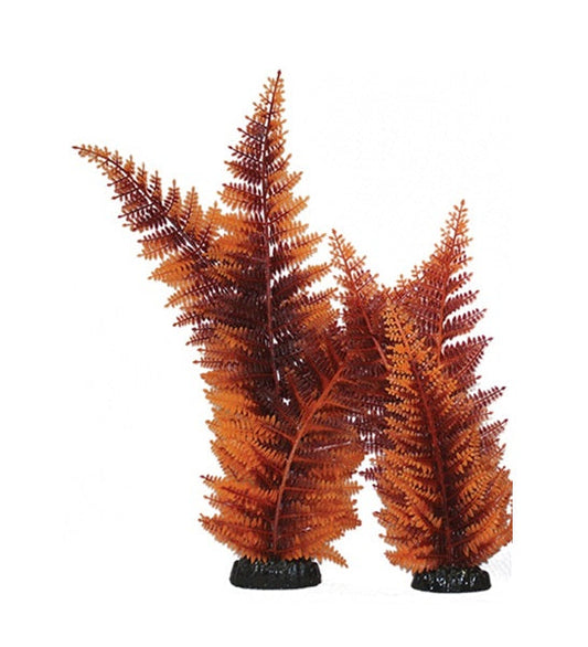 Hugo Kamishi Broad Leaf Fern Aquarium Plant Decor