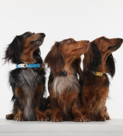 Tickless Mini Dog Ultrasonic Tick & Flea Repeller