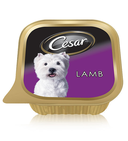 Cesar Lamb Wet Dog Food - 100G