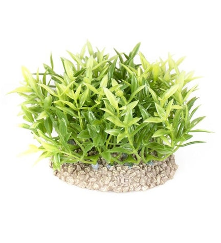 Aqua D'Ella Plant Miracle Moss Aquarium Decor