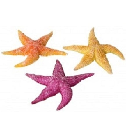 Aqua D'Ella Real Sea Star for Aquariums