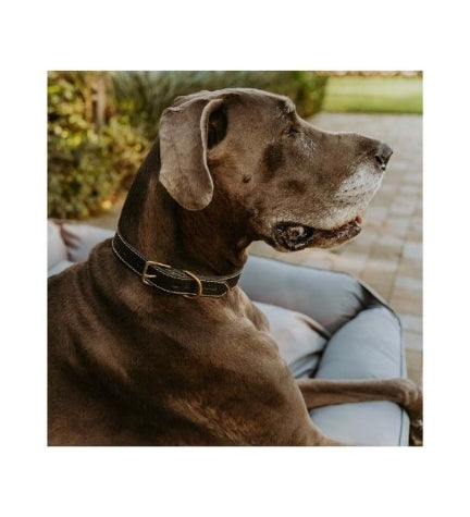 Huntlea Rhino Collars