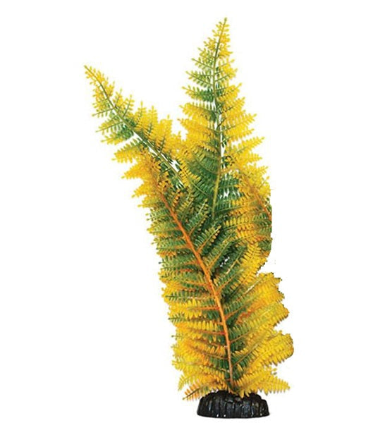 Hugo Kamishi Broad Leaf Fern Aquarium Plant Decor
