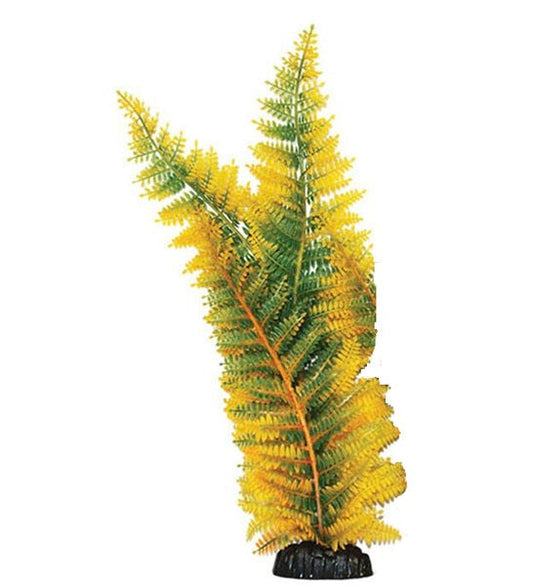 Hugo Kamishi Broad Leaf Fern Aquarium Plant Decor